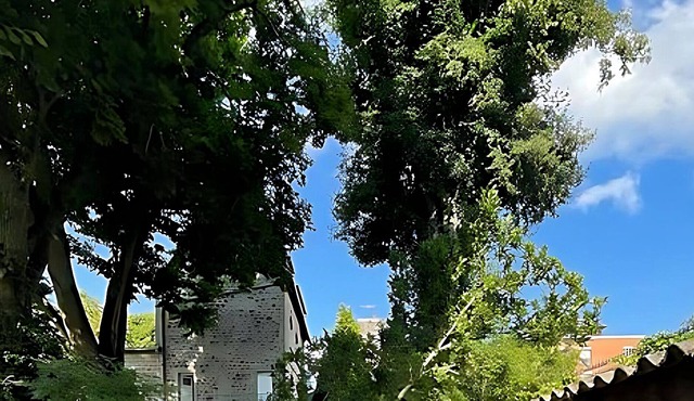 Central 6 Bedroom Maison de Maitre in bustling town of Flers