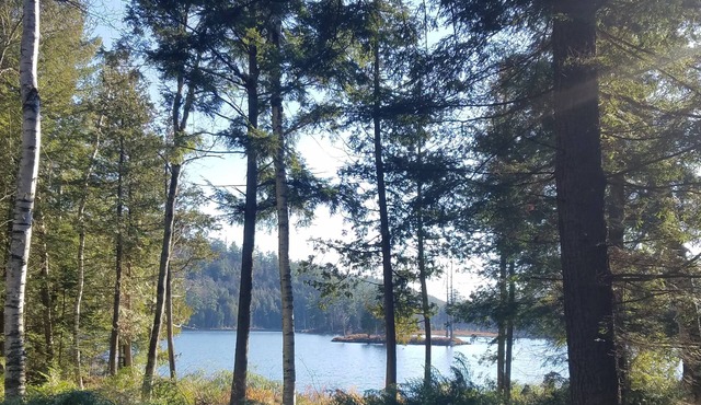 Central Adirondack Lakefront Solar Cabin