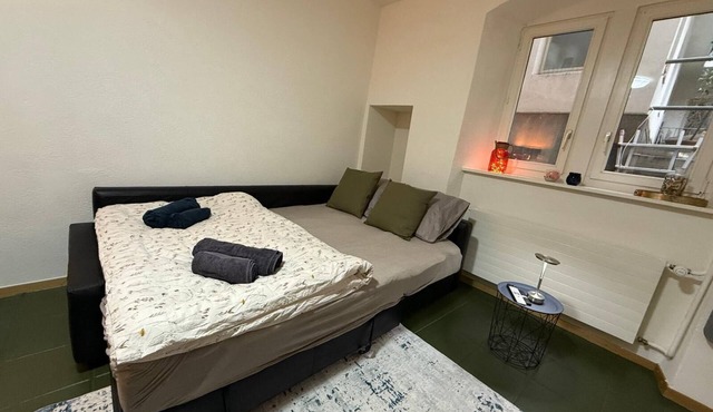 Central and relaxed apartment in Fribourg next to the Cathedral!