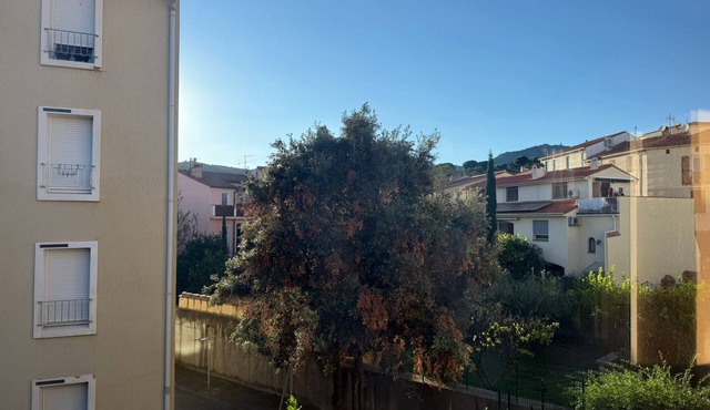 Central apartment near beach in Banyuls-sur-Mer