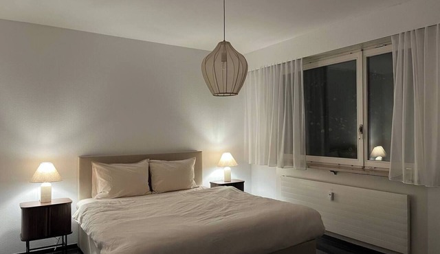 Central Apartment Basel SBB, City Center, Airport Nearby