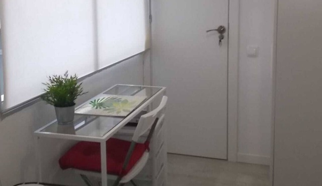 CENTRAL APARTMENT IDEAL FOR BUSINESSES
