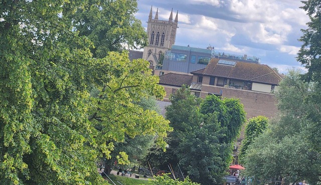 Central Cambridge! Beautiful Victorian House and Garden - up to 24 people