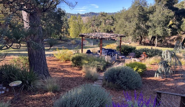 Central Coast Getaway, Meadow, Wildlife, Hot-Tub, Pet-Friendly, and Great Roads,