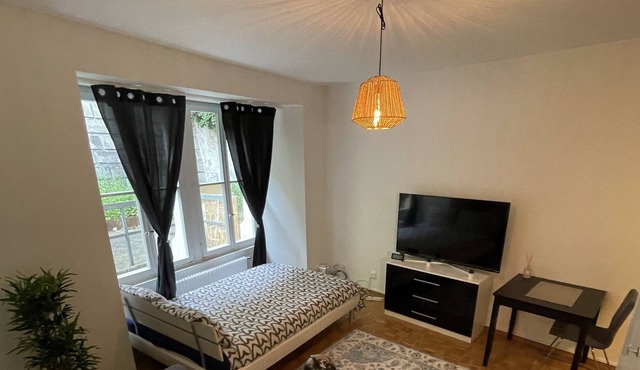 Central Freiburg classic Studio