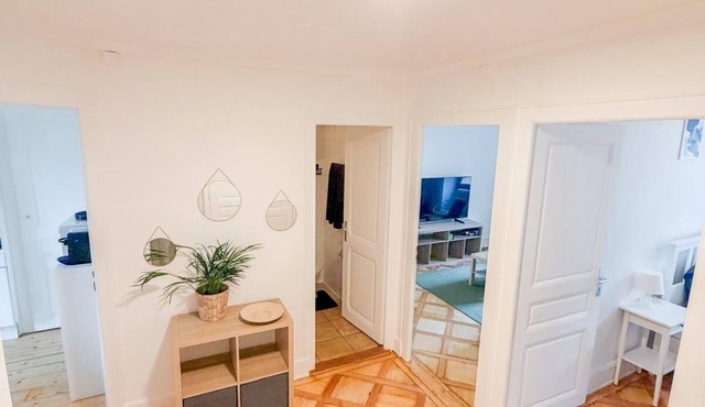 Central Geneva Apartment - Walk to Old Town & Lake