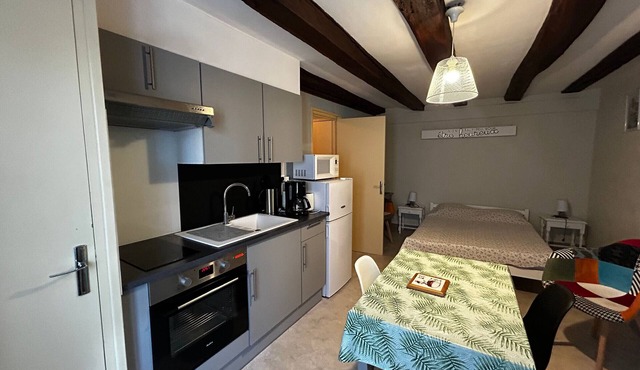 Central La Roche-Posay studio, Wifi, free parking