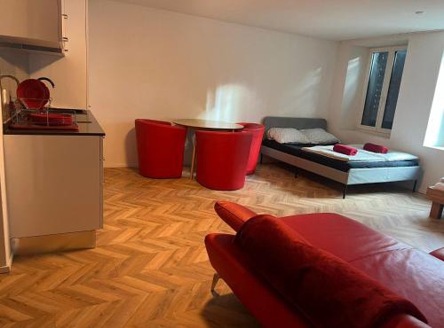 Central Living Brugg - Redapartment