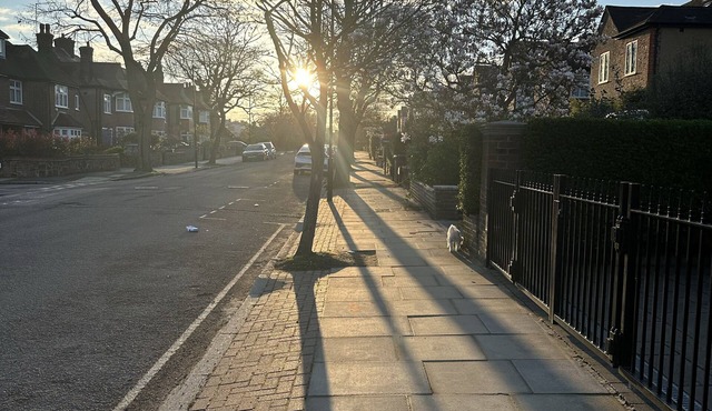 Central London 5 bedroom house for rent