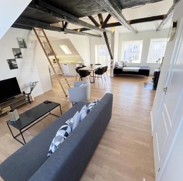 Central Luxus Apartment Free Private Parking
