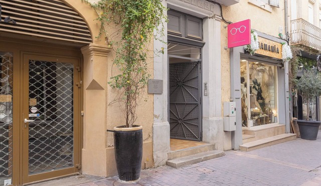 Central Narbonne with Rooftop Terrace