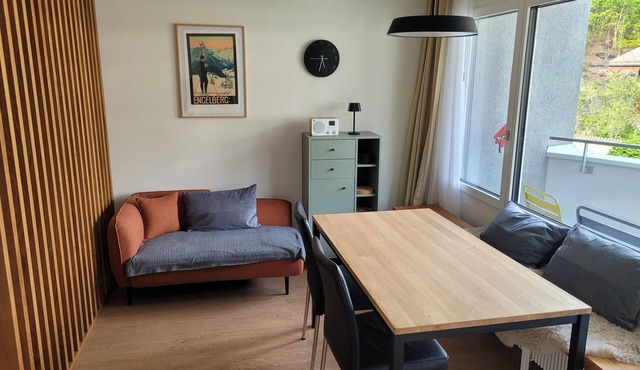 Central, newly renovated 2-room apartment in the train station and Titlis valley station