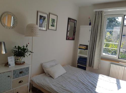 Central quiet and cosy apartment near Hallenstadion