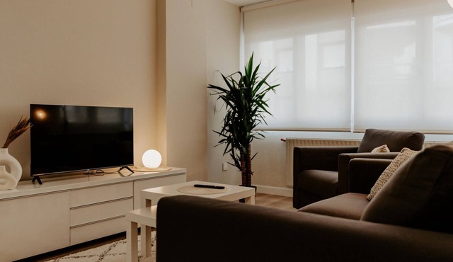 Central Renovated Apartment with Wi-Fi in Logroño