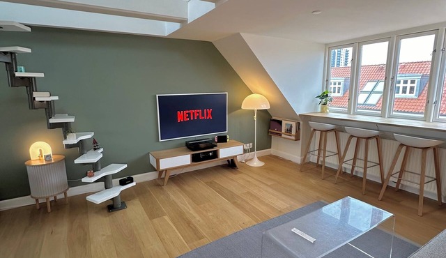 Central rooftop apartment by ARoS with big balcony and skyline view