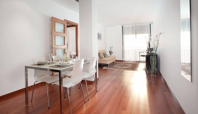 Central & Sunny Apartment Near Passeig de Gracia II - 15 minutes walking
