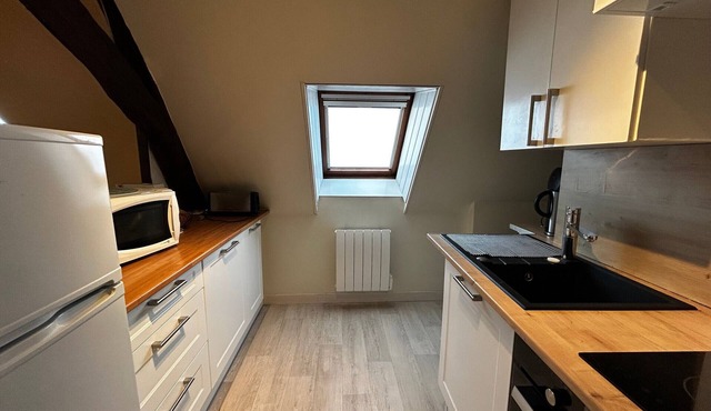 Central T2 with WIFI and free parking in La Roche-Posay