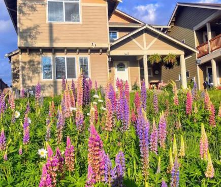 Central Tacoma Homestay with breakfast included -private room-