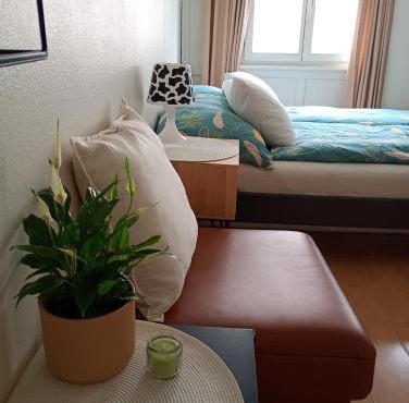 Central tiny studio
