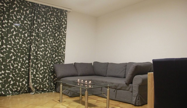 Centrally Located in Bern, 2DR, Sleep 6.