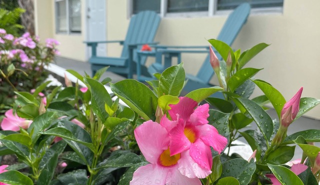 Centrally located, recently renovated, beach-themed delight; 4-min to the beach!