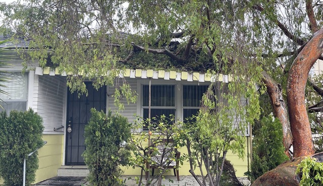 Centrally located Cozy Santa Monica haven with backyard and parking!