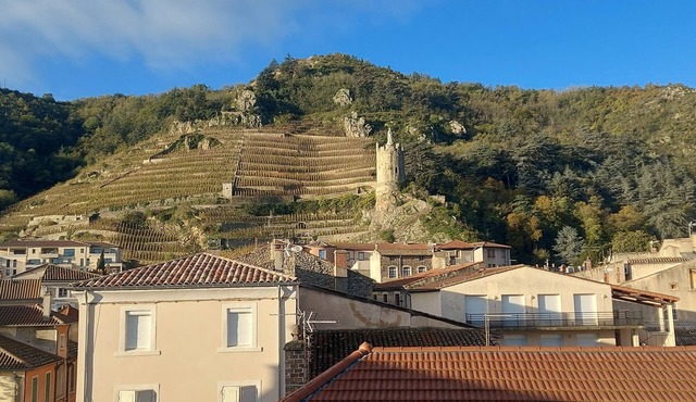 Centre Ville de Tournon au Cœur des Vignes Éveiller vos Papilles