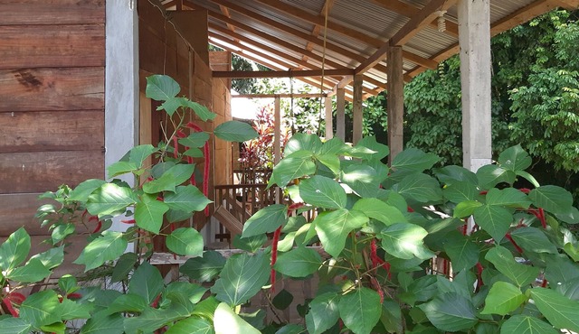 Centro Ecoturistico Yaajche