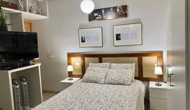 Centro Goya Aparment