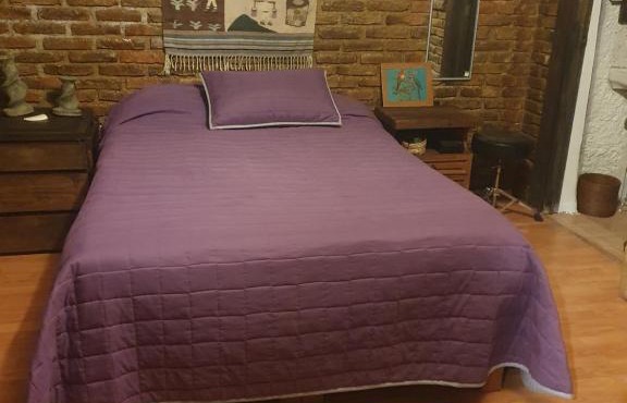 Cerca del Colmex, Flacso y U Pedagogica