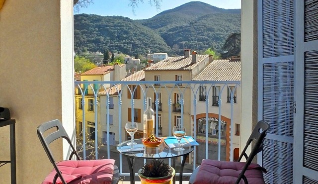 Ceret Centre -Sun-Filled Apt, mountain views with A/C