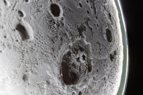 CEVA Suite Moonlight-Jacuzzi & Cinéma Centre ville