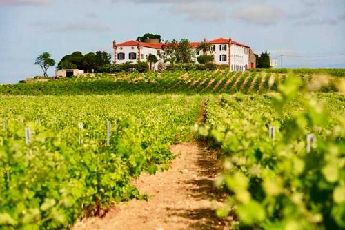 Château au milieu du vignoble avec piscine à 10 mn des plages