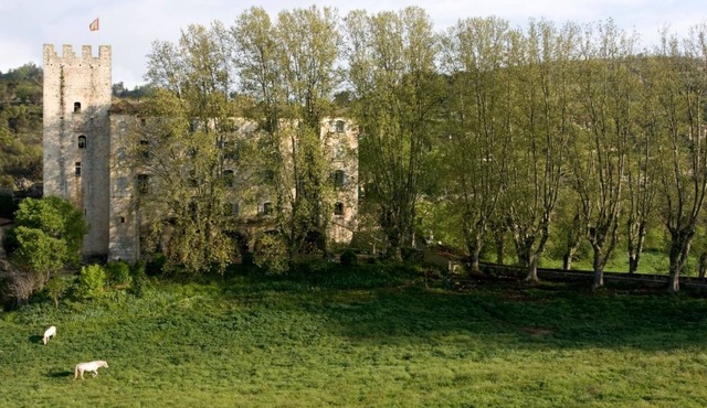 Château D'esparron