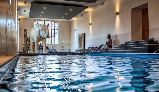 Château de Dissay, The Originals Collection