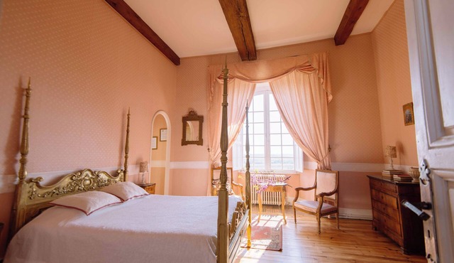 Château de Goudourville 13th century, private, sleeps 30, swimming pool, reception area