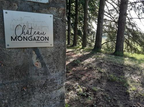 Château de Mongazon