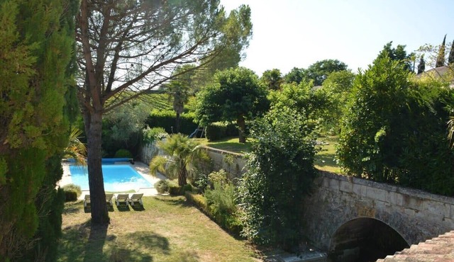 Château La Tuilière: pool and it's own wineyard