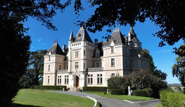 Château historique avec suite dans la tour et confort moderne - FR-1-591-658
