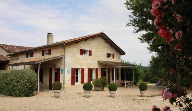 Château Malfard - Petit Verdot