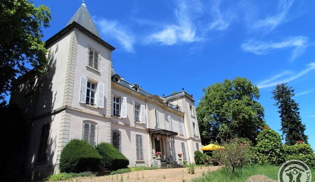 Château d'Emeringes - EMERINGES