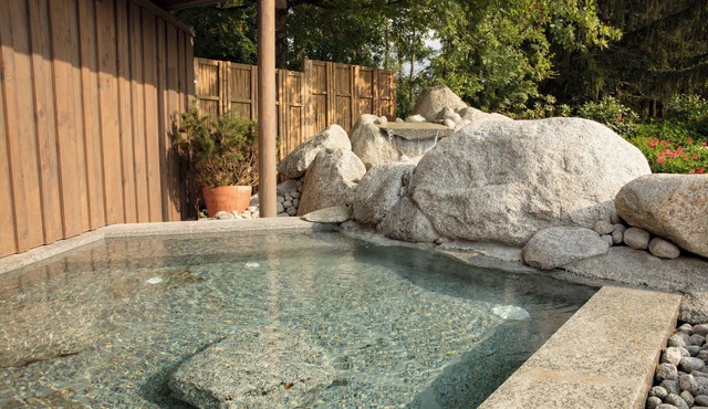 Château de Saint-Germain