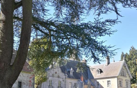 Château de Crocq - Chambres d'Hôtes de Charme