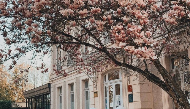 Château de la Dame Blanche