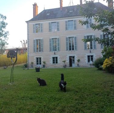 Château de la Mothe