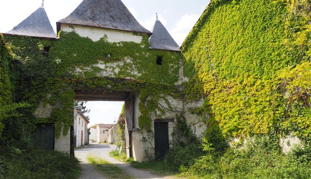 Château de Parançay - 15 people lodge