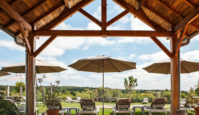 Château des Vigiers