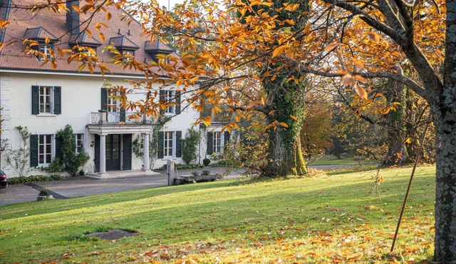 Château Elégance