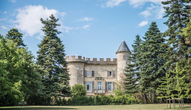 Château Emile Loubet - appartement Maréchal Foch