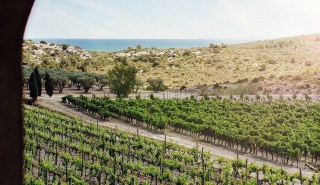 Château l'Hospitalet Wine Resort